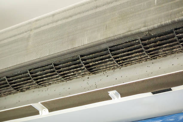 Best Air Duct Cleaning Near Me in Lake City, SC